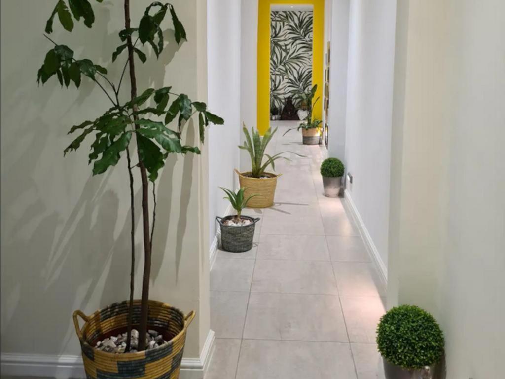 The Little Big Green House Hotel Muizenberg Room photo